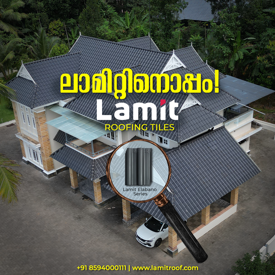 Lamit Work 3